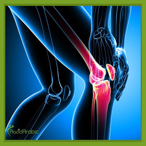 Knee Replacement Surgery India