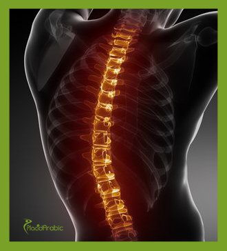 Spinal Disc Replacement India
