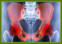Orthopaedic - Knee Surgery Packages