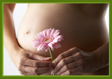 Fertility Treatment Package