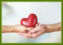 Heart Transplant Solutions