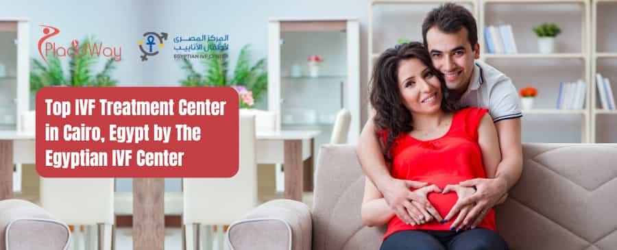 The Egyptian IVF Center - IVF Treatment in Cairo Egypt